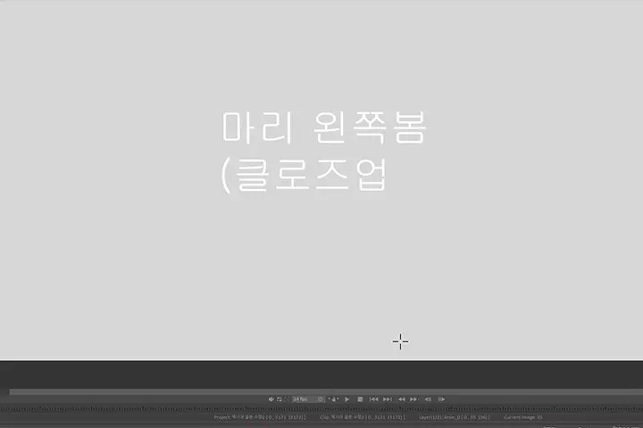 Animation Studio, Team Forma+9