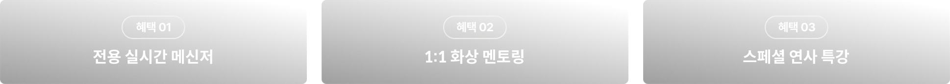 콜로소 완강 질주 프로그램