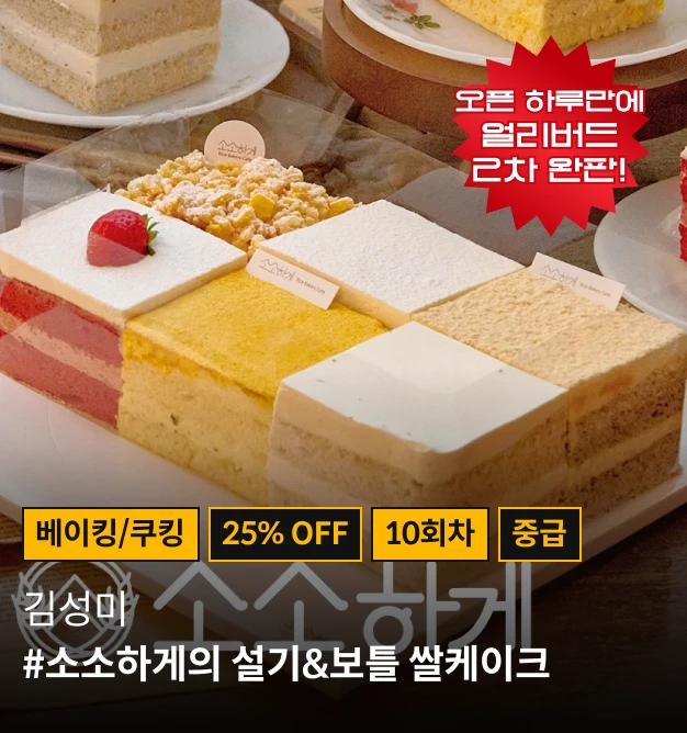 2023 상반기 명예의 n강 사전