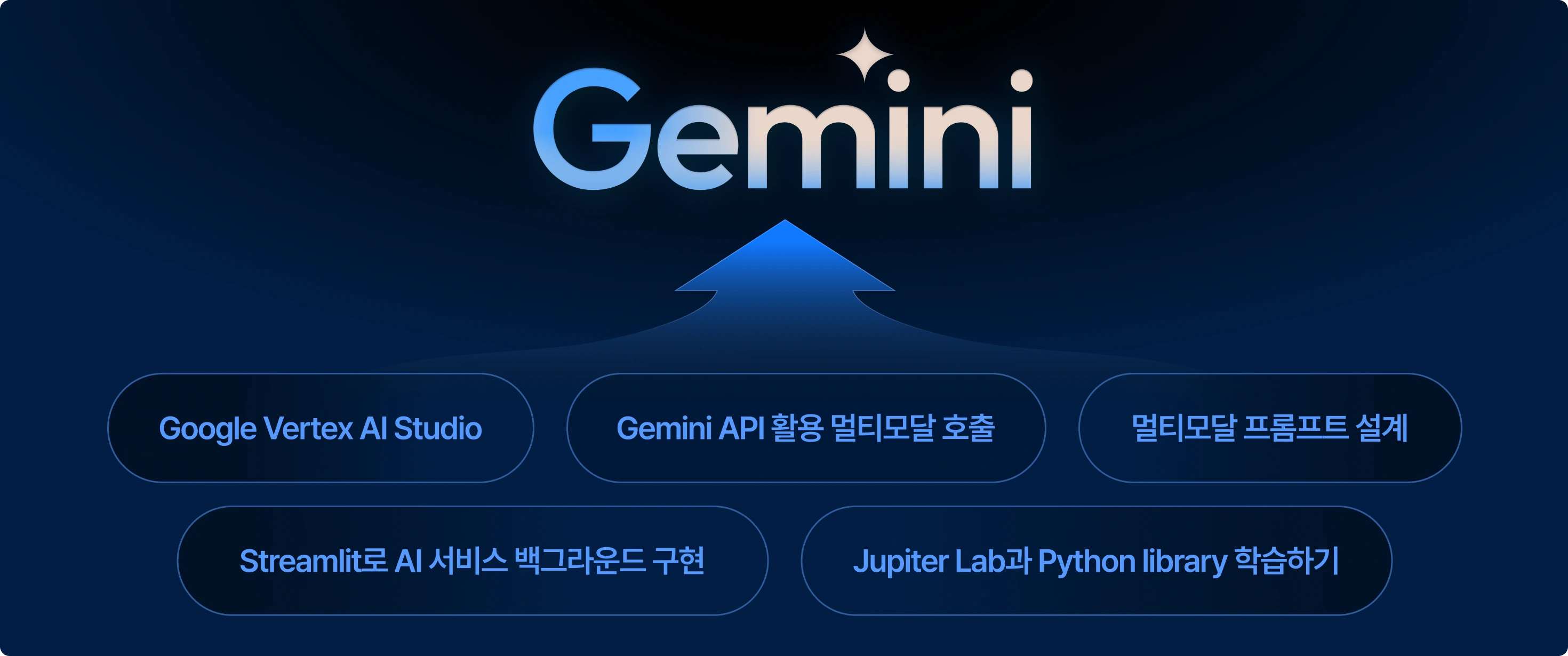 OpenAI API 활용, Google Vertex AI Studio, Gemini API 활용 멀티모달 호출, 멀티모달 프롬프트 설계, Streamlit로 AI 서비스 백그라운드 구현, Jupiter Lab과 Python library 학습하기, Gemini, Gemini AI, Multimodal AI