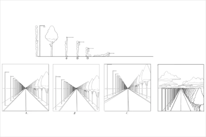 Coloso Illustrator Rockhe Kim Exercises