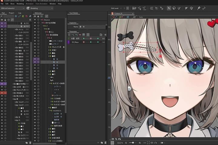Coloso Live2D Modeler Date Detail
