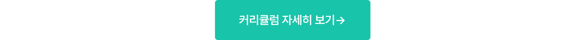 한눈 커리큘럼_커리큘럼