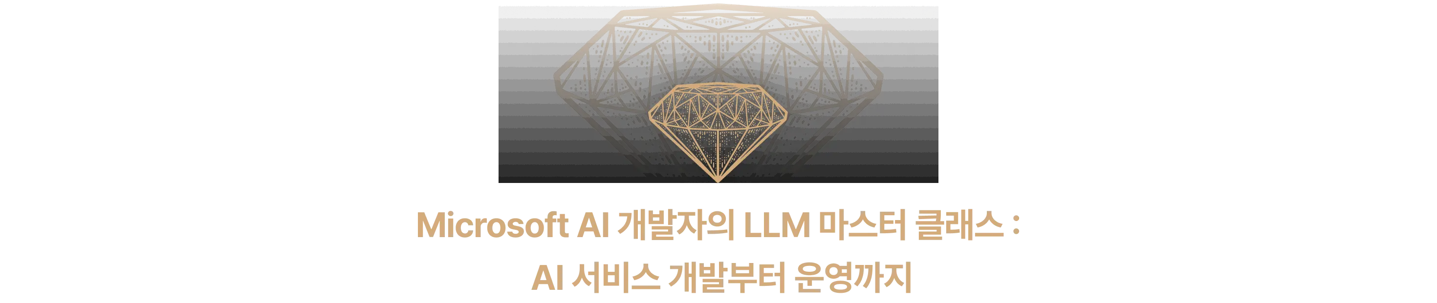 microsoft ai 개발자, 양파, 주한나, llm 마스터클래스