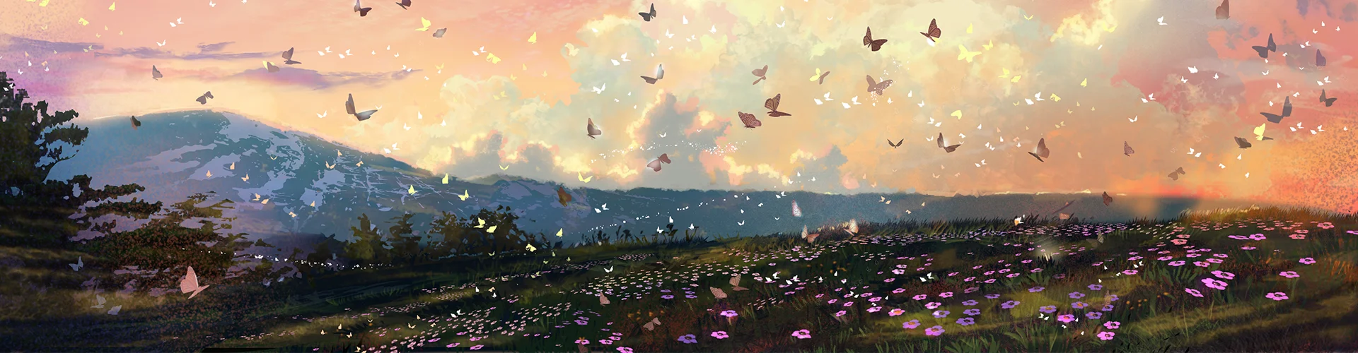 background Images