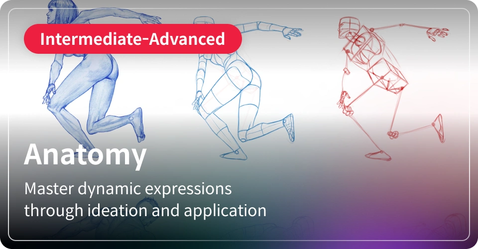 Anatomy-Intermediate-Advanced