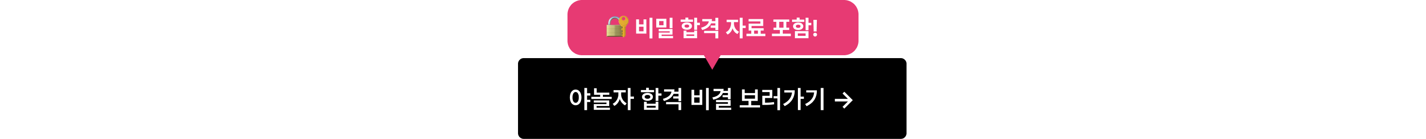 00테스트_야놀자 합격 비결 보러가기_기타