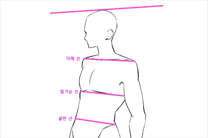 Coloso Illustrator Seoji Exercises