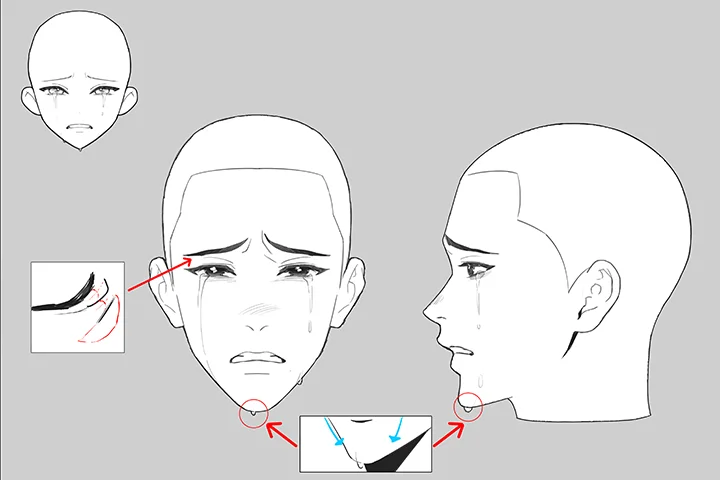 Coloso Illustrator Gugong Exercises