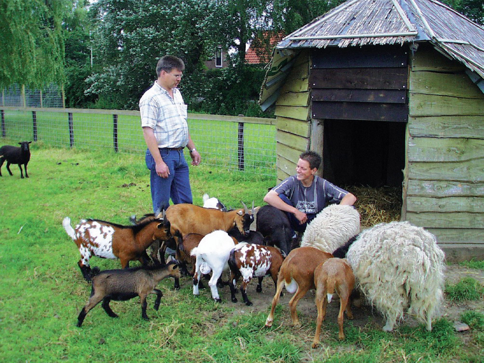Kennisexamen 25734 Zelfstandig medewerker dierverzorging