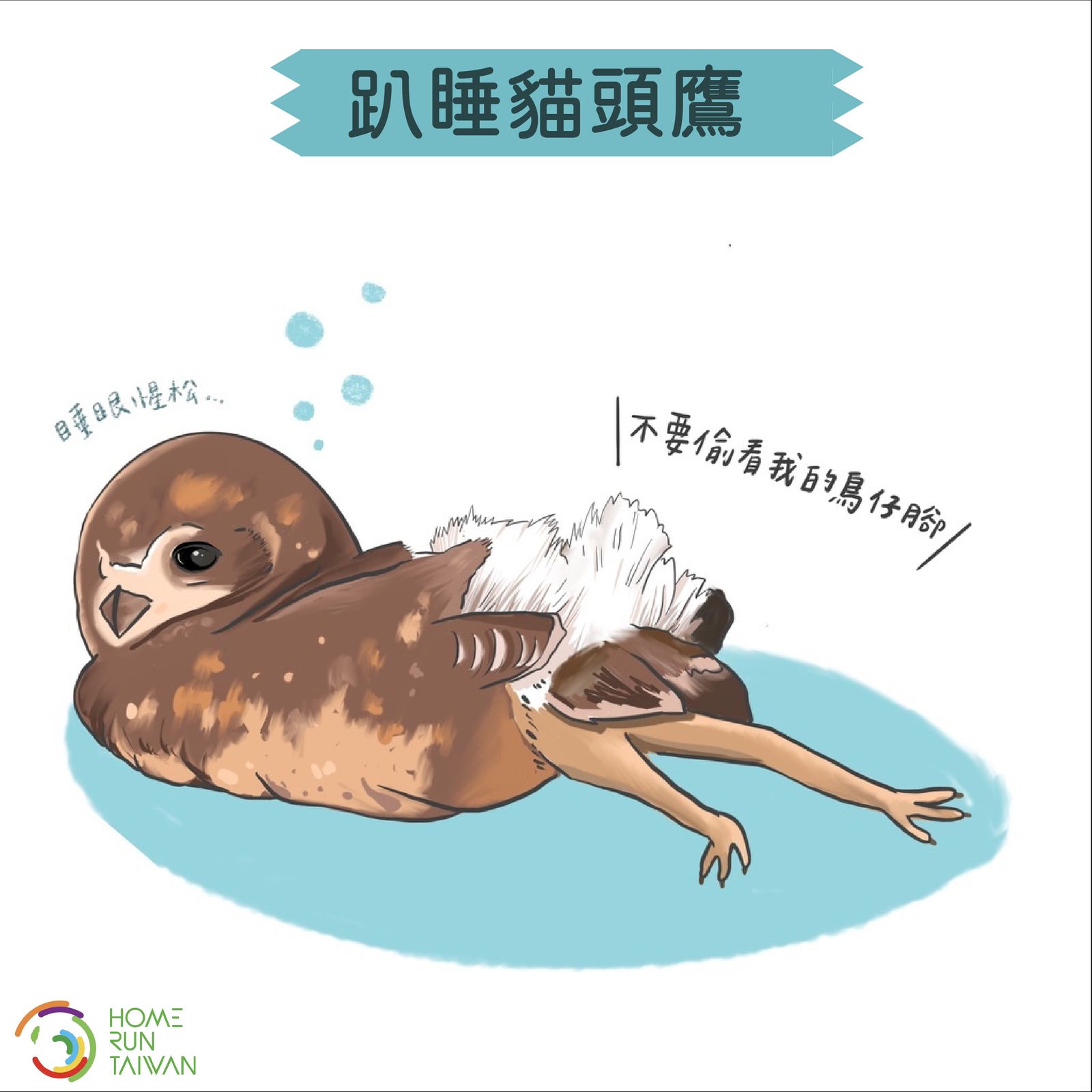 Home Run Taiwan 世界睡眠日 動物們睡得好香甜 Home Run Taiwan 世界睡眠日 動物們睡得好香甜