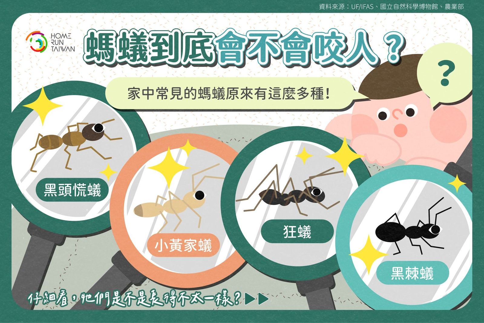 Home Run Taiwan : 螞蟻到底會不會咬人？家中常見的螞蟻