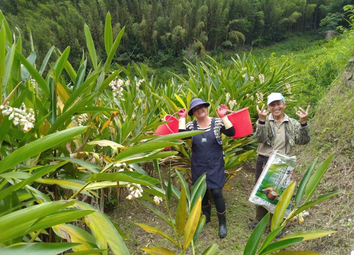 Home Run Taiwan 全台最香的高山部落 月桃美白 金盞花抗老 那羅部落用香草鋪一條歸鄉之路