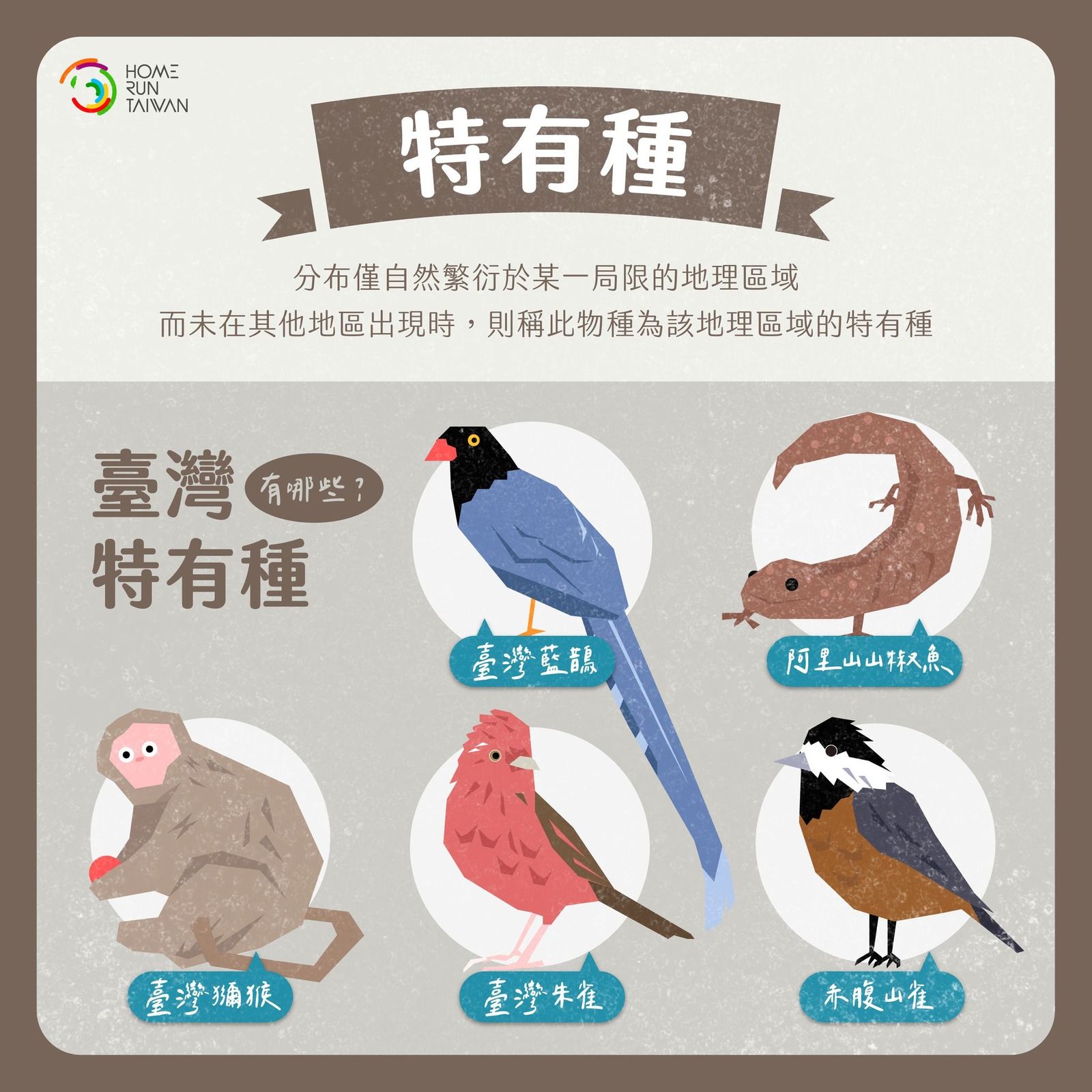 Home Run Taiwan : 難道～特有「亞」種是表示比較低階嗎？！