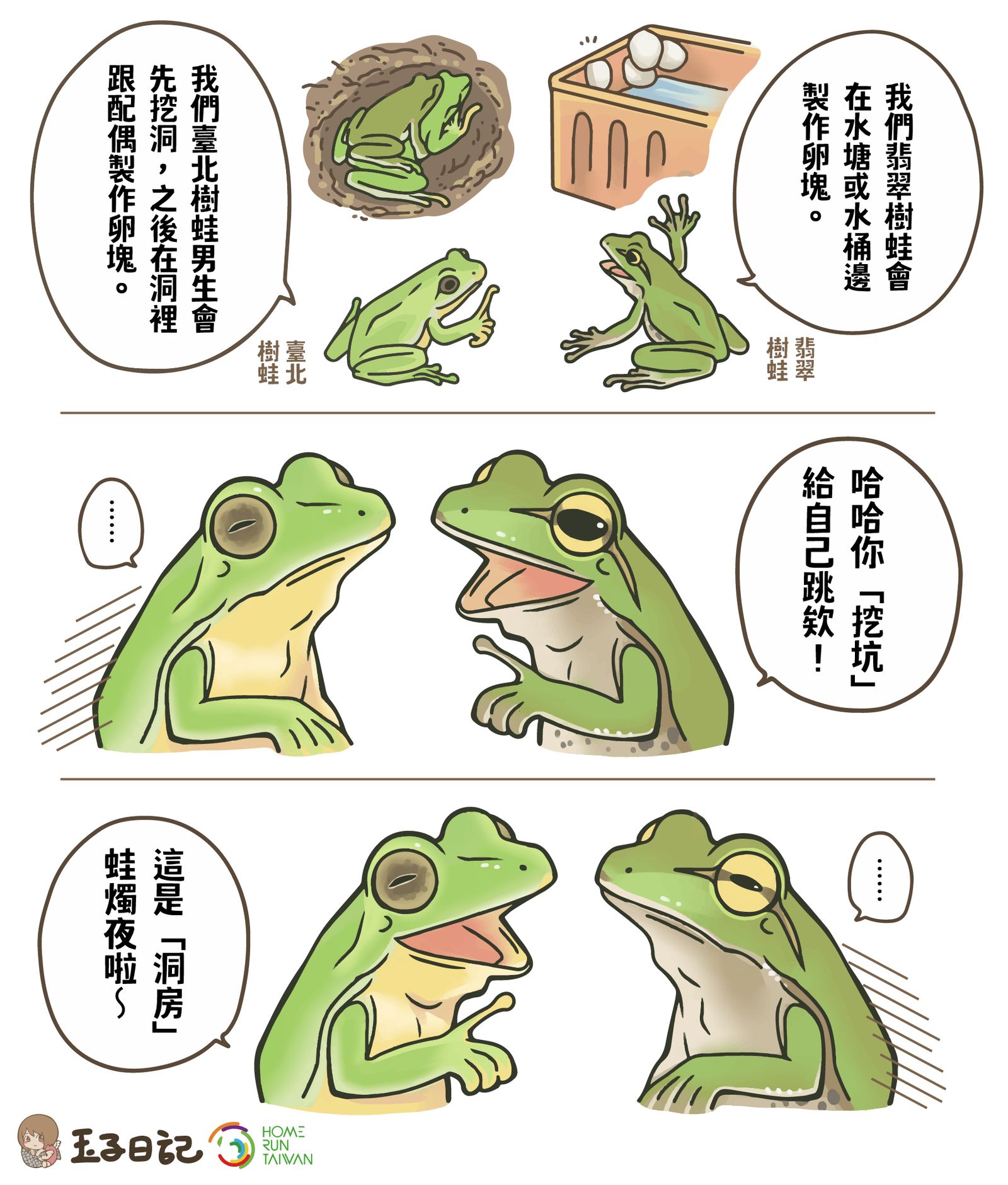 Home Run Taiwan : 玉子日記| 秋冬挖洞生小孩的青蛙，臺北樹蛙