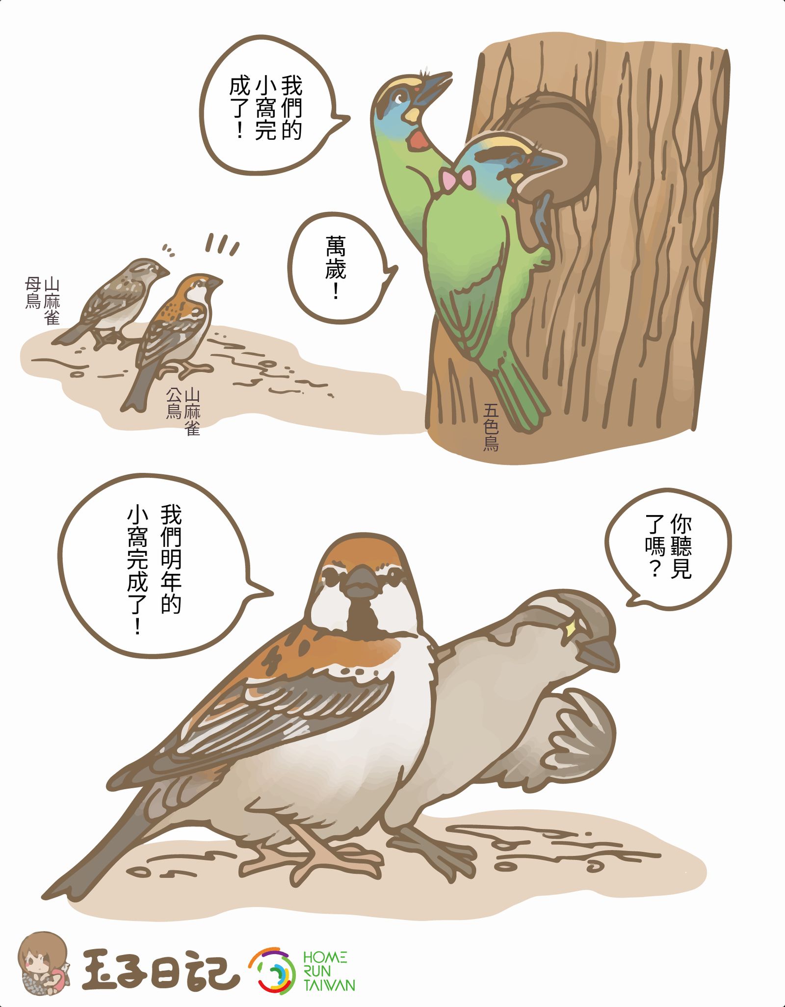 78+ 图片 麻雀 新的 11 Home Run Taiwan : 玉子日記|不一樣的麻雀山麻雀