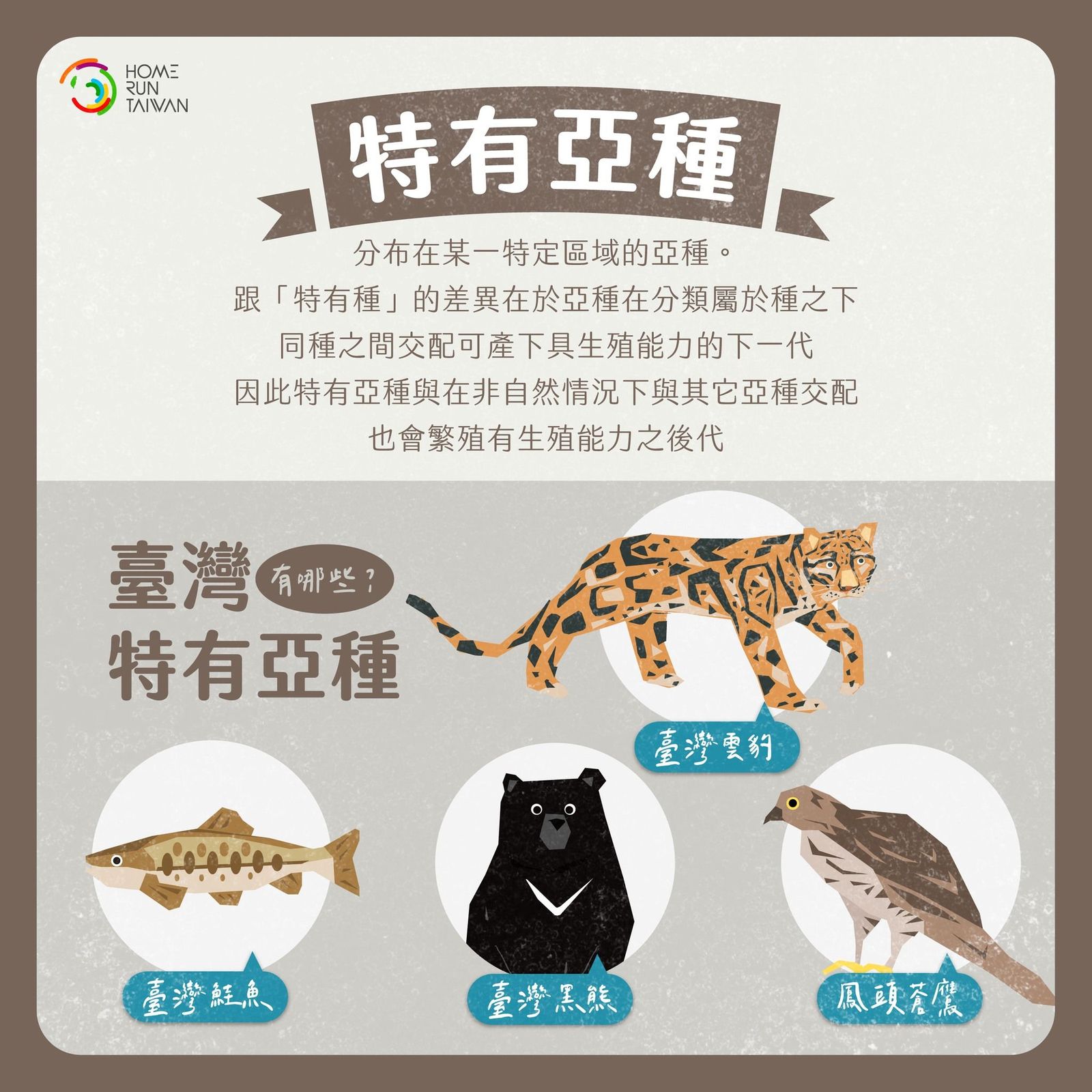 Home Run Taiwan : 難道～特有「亞」種是表示比較低階嗎？！