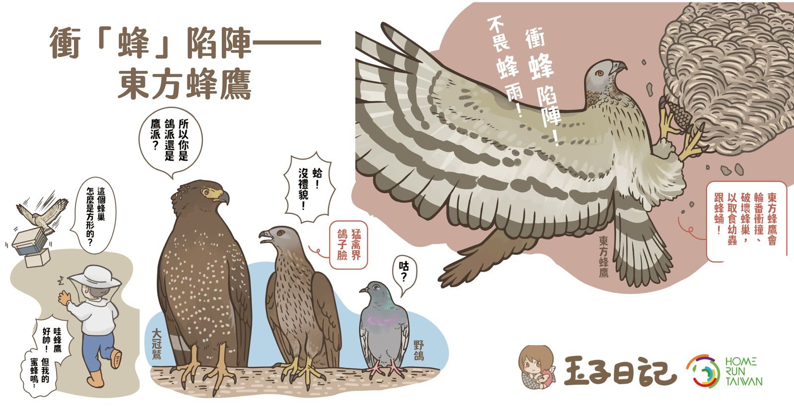 Home Run Taiwan : 玉子日記｜衝「蜂」陷陣──東方蜂鷹