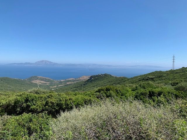 Finca rústica en Tarifa, El Cuartón, venta