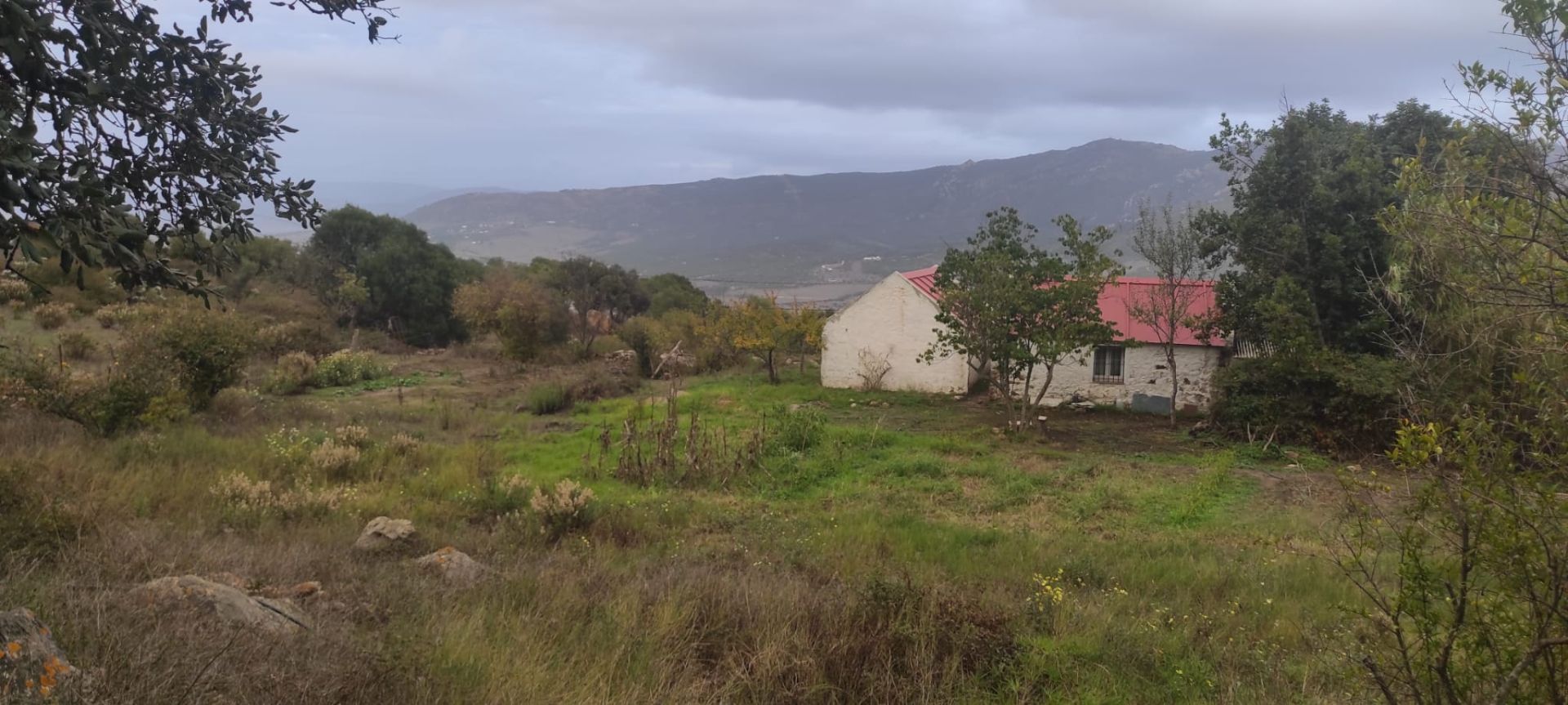 Finca rústica en Tarifa, venta