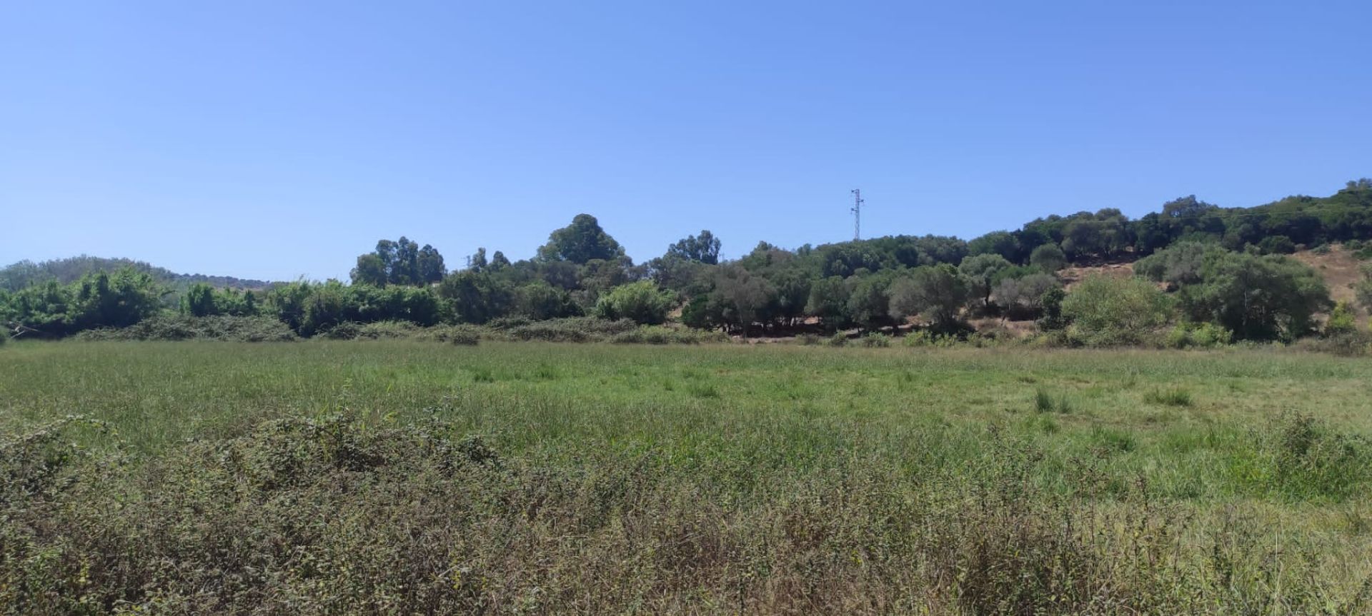 Finca rústica en Tarifa, Camino de la Luz, venta