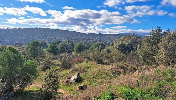 Parcela en Galapagar, Parquelagos, venta