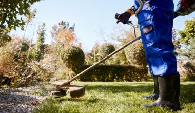 servicio de jardineria