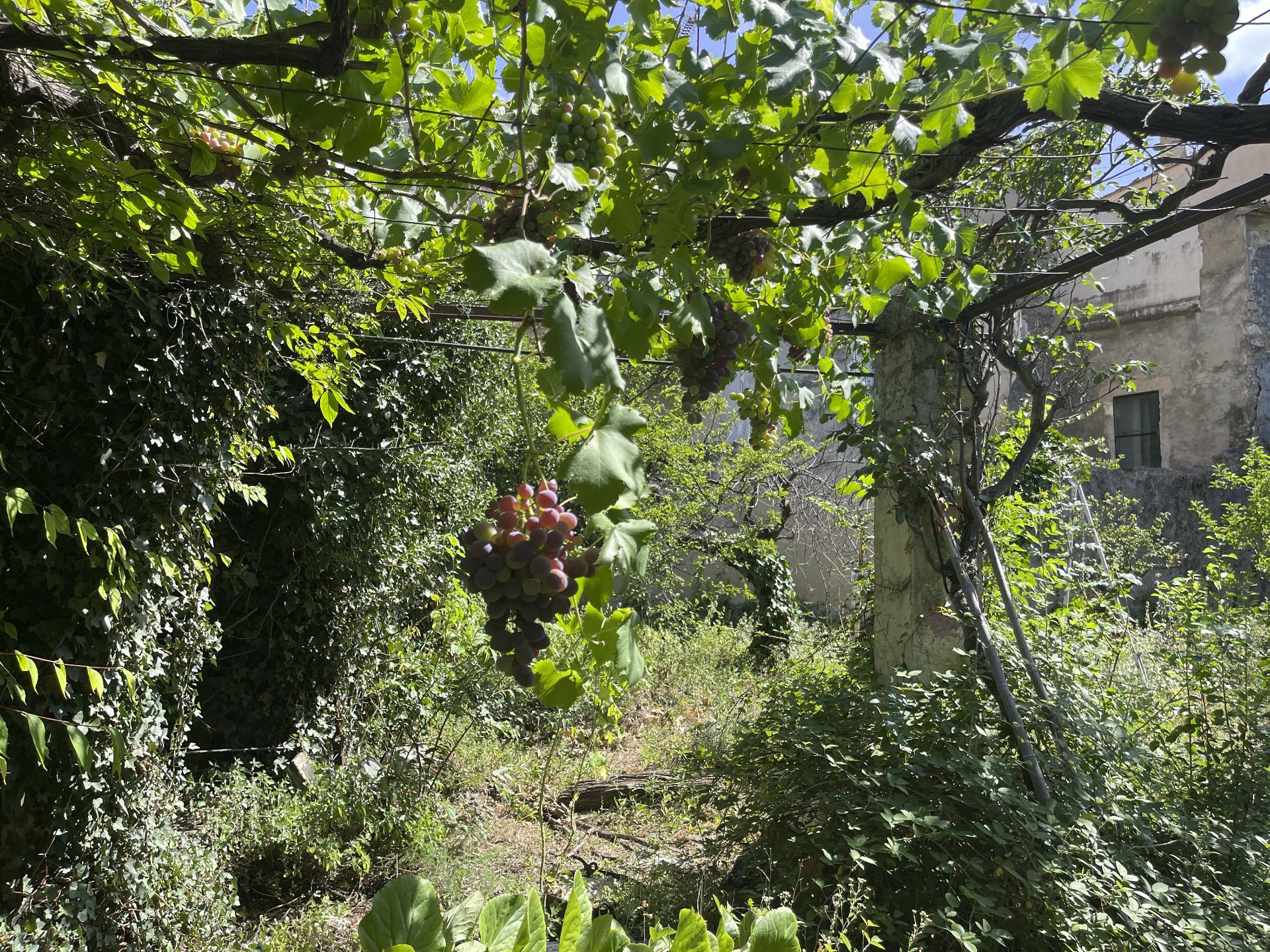 Casa de pueblo en Confrides, venta