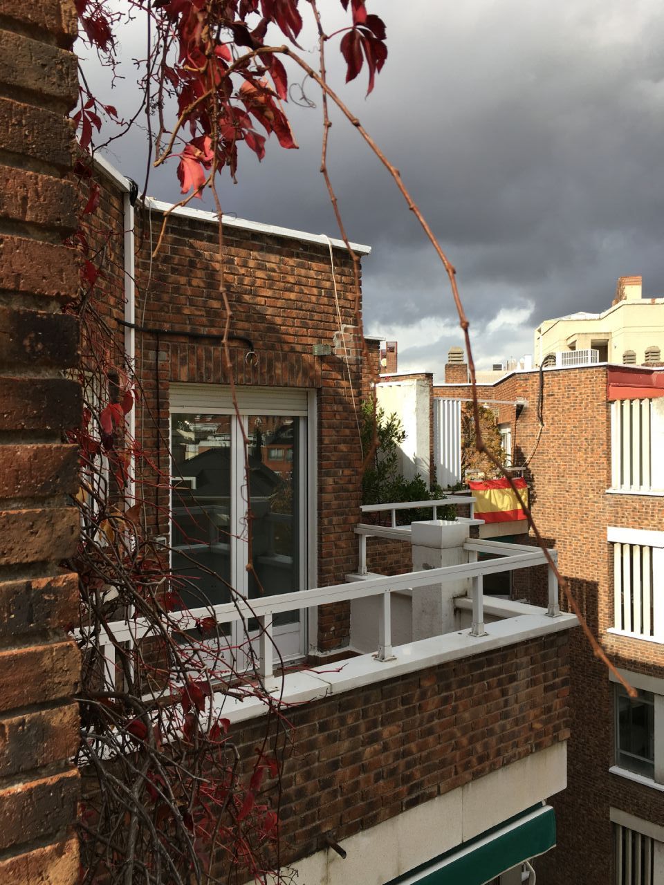 Ático en Madrid, EL VISO, alquiler