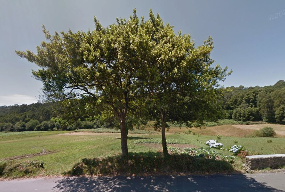Urban Plot in Cee, te koop
