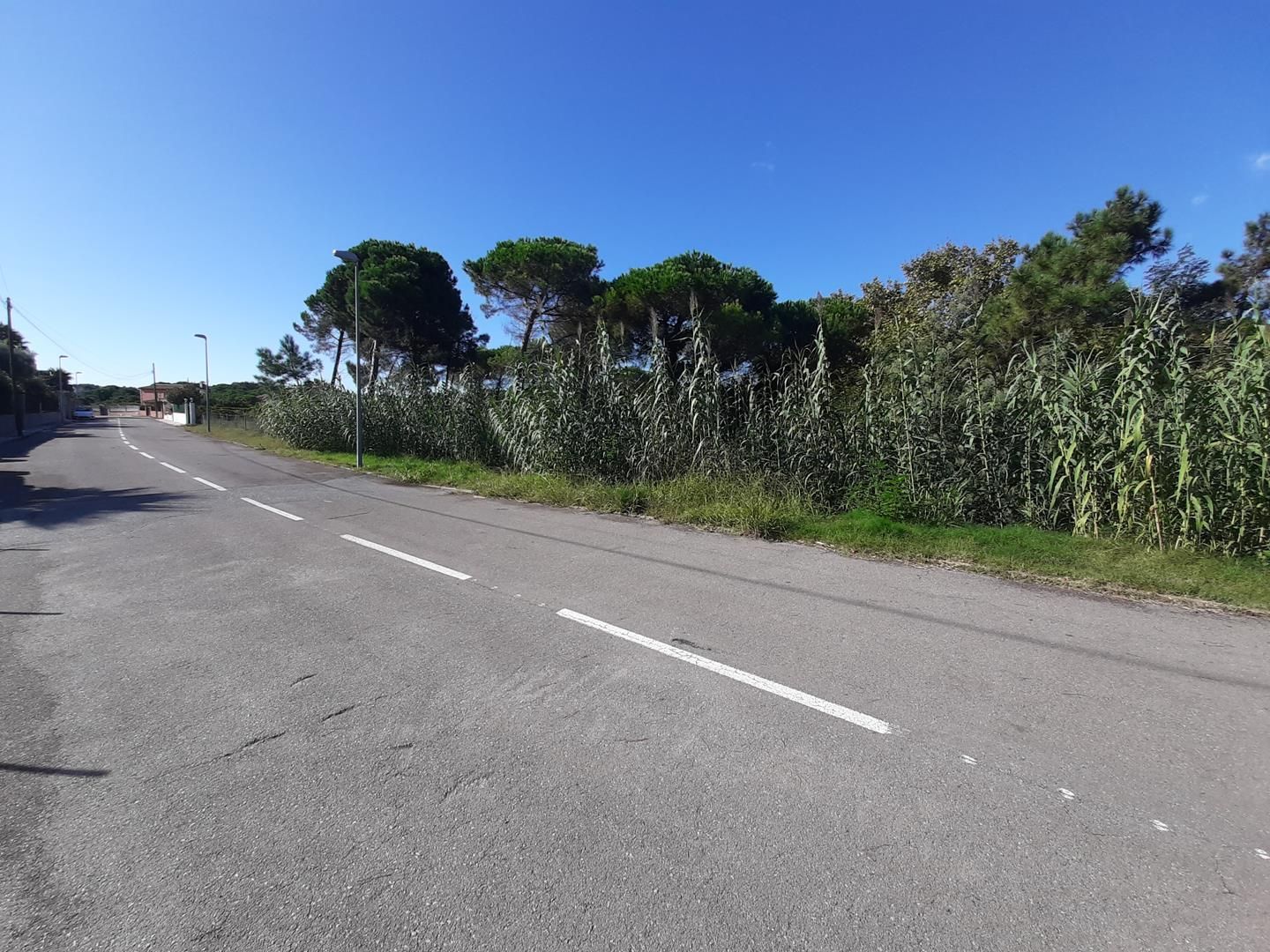 Terrain à Lloret de Mar, Condado del Jaruco, vente