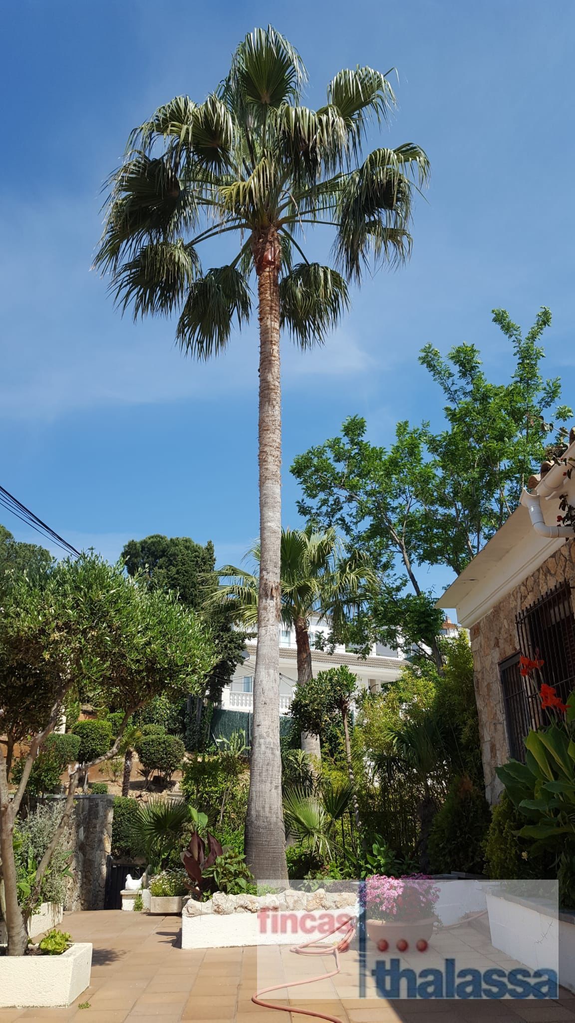 Casa / Chalet en Lloret de Mar, Condado del Jaruco, venta