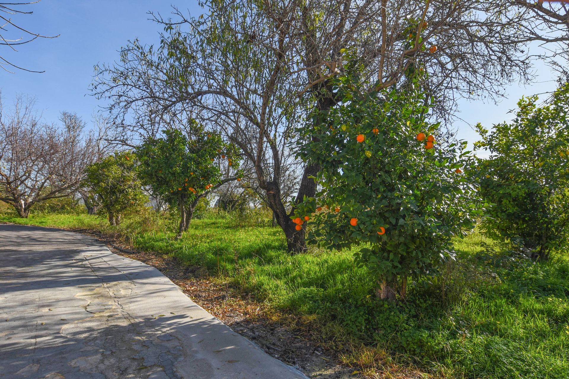 Chalet independiente en Jávea - Reventa