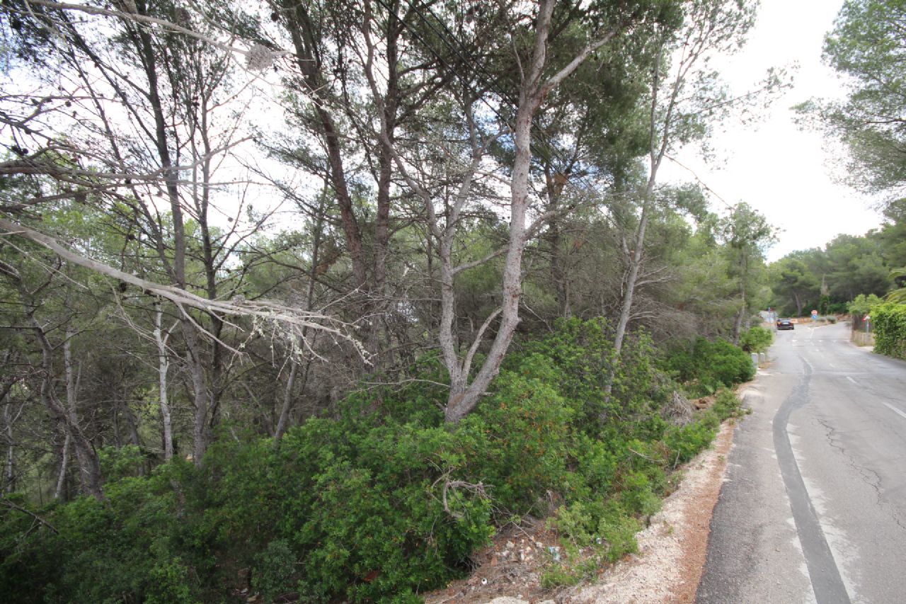 Parcela en Jávea - Reventa