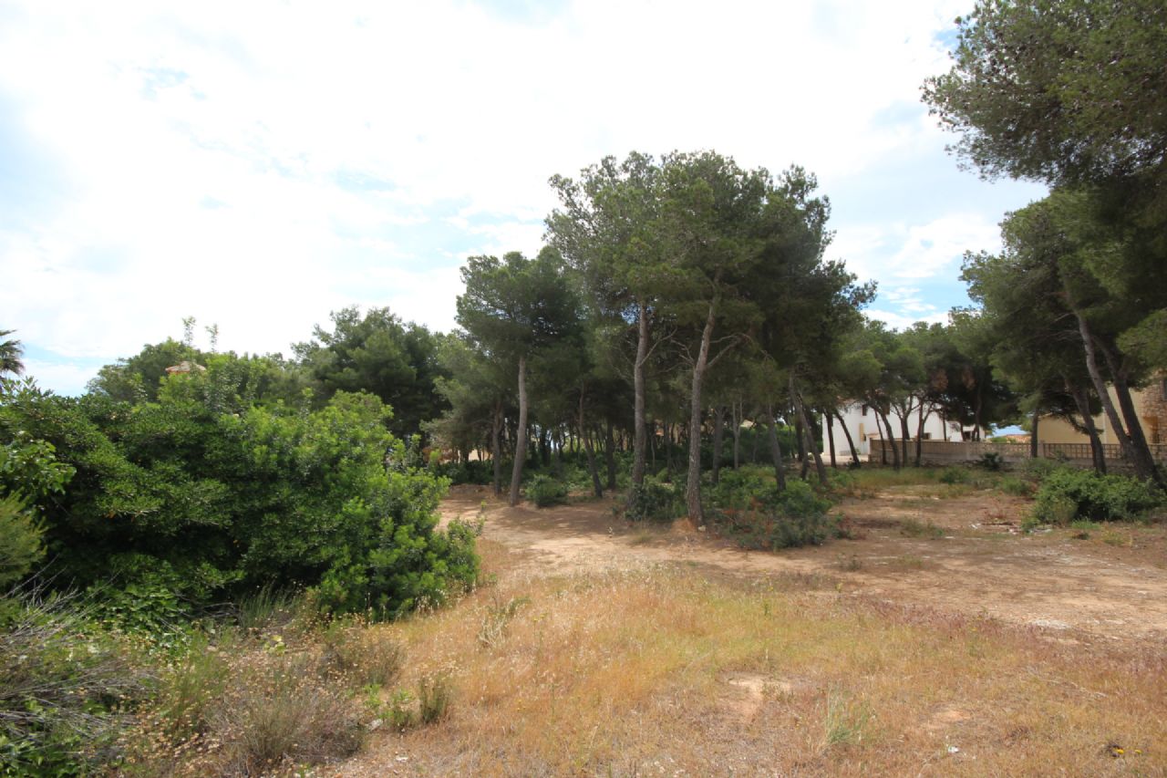 Terrain dans Jávea