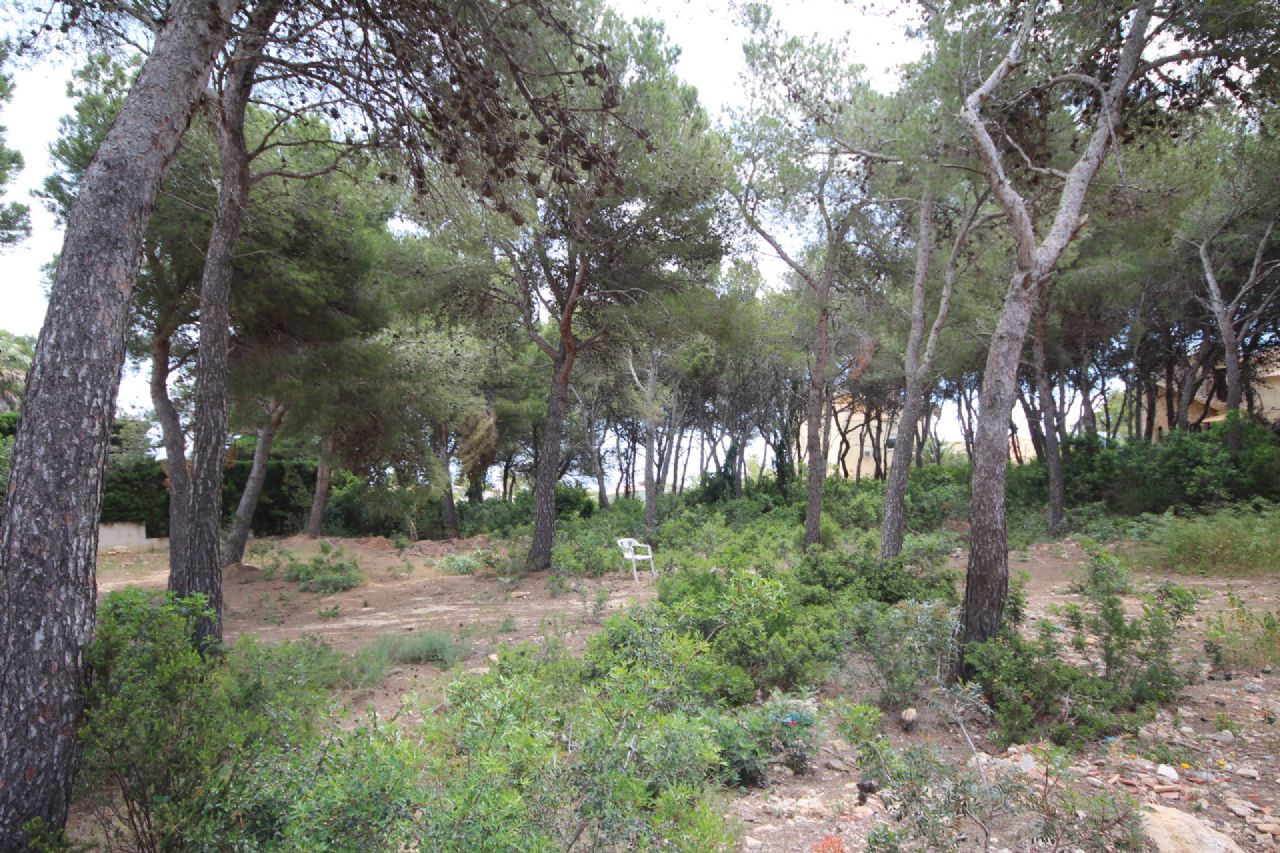 Terrain dans Jávea - Revente