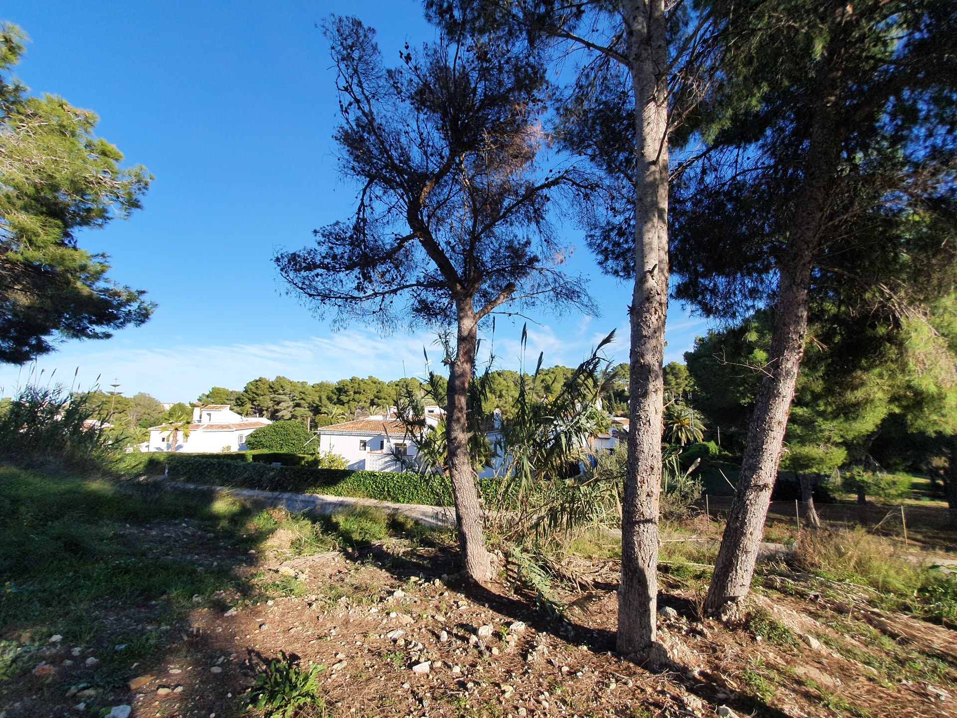 Terrain dans Jávea - Revente