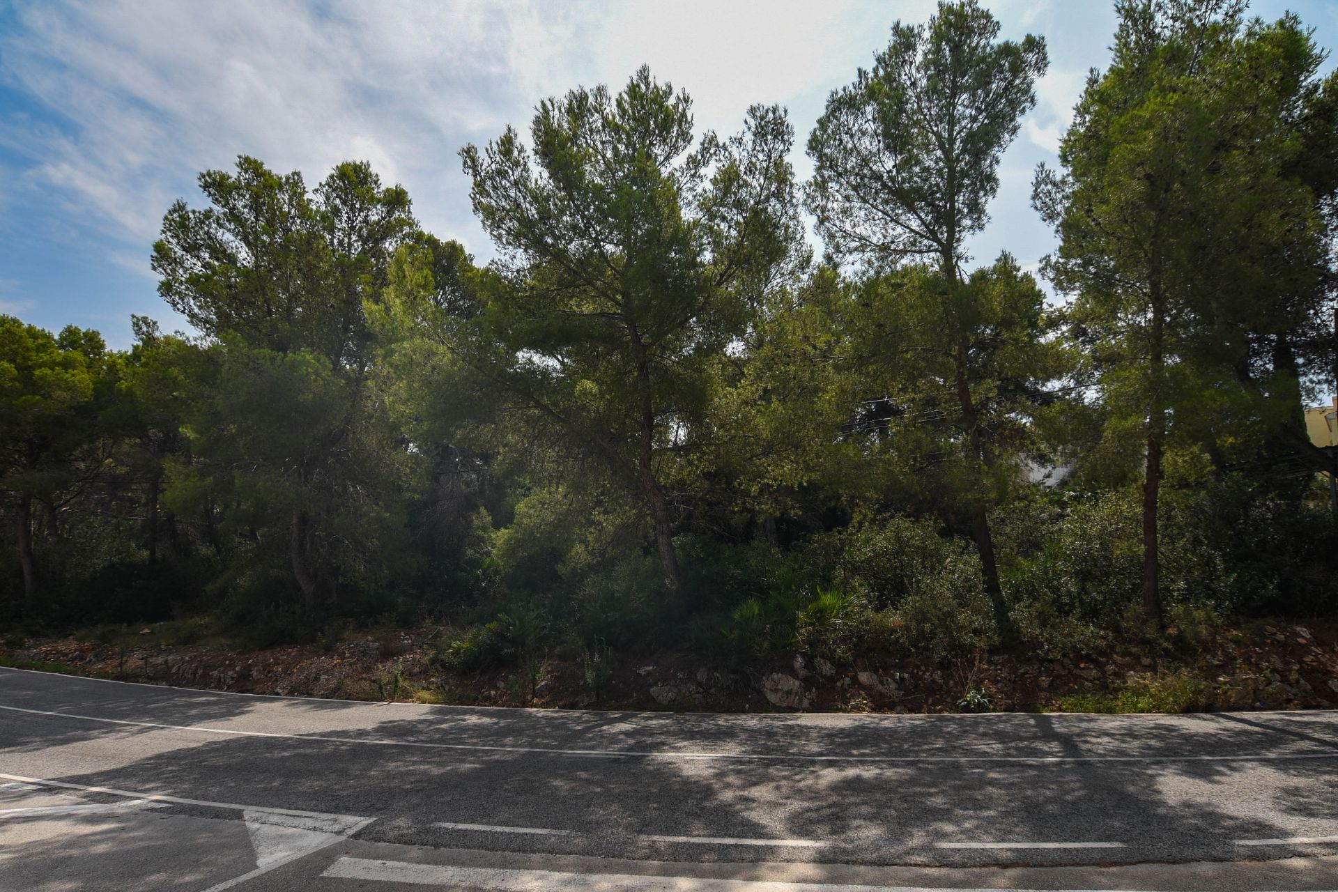 Terrain dans Jávea