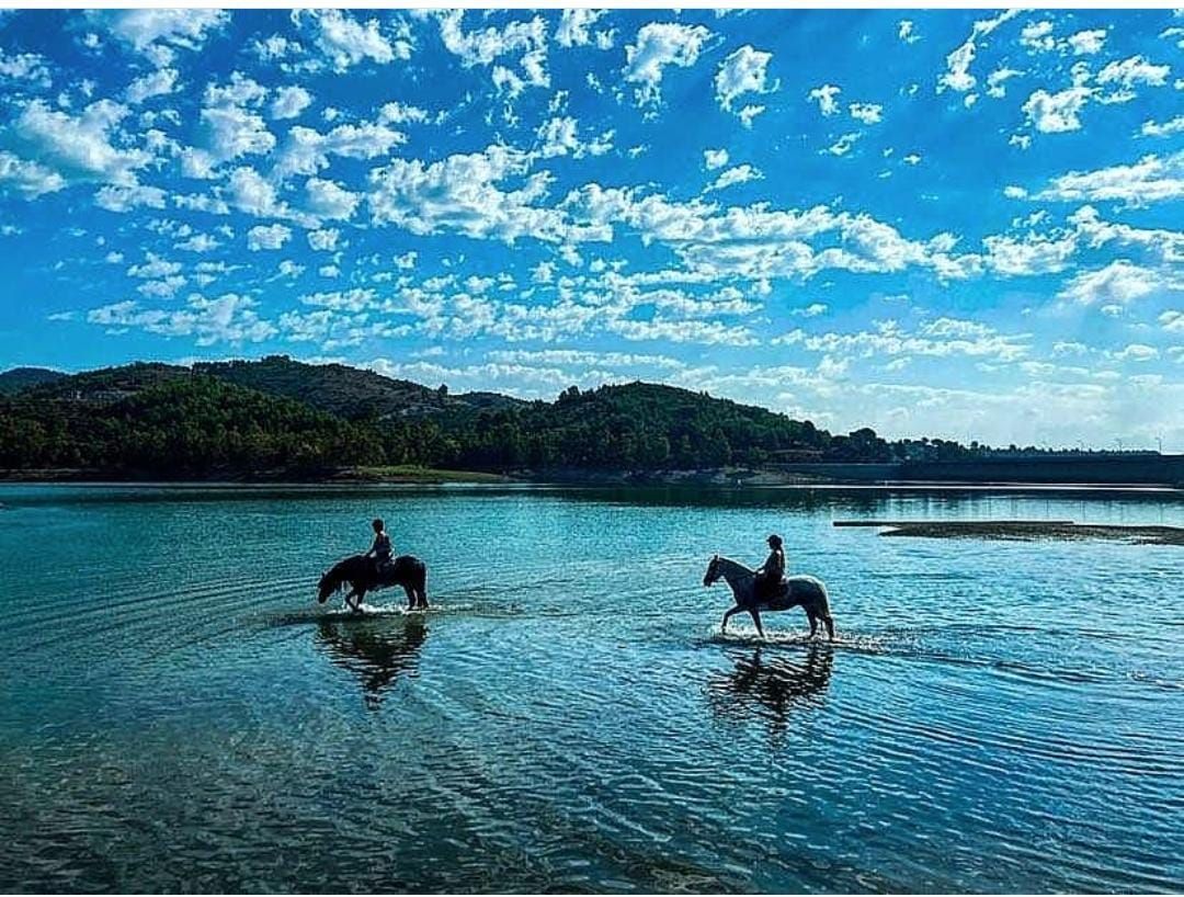 Finca rústica en Montroig, venta