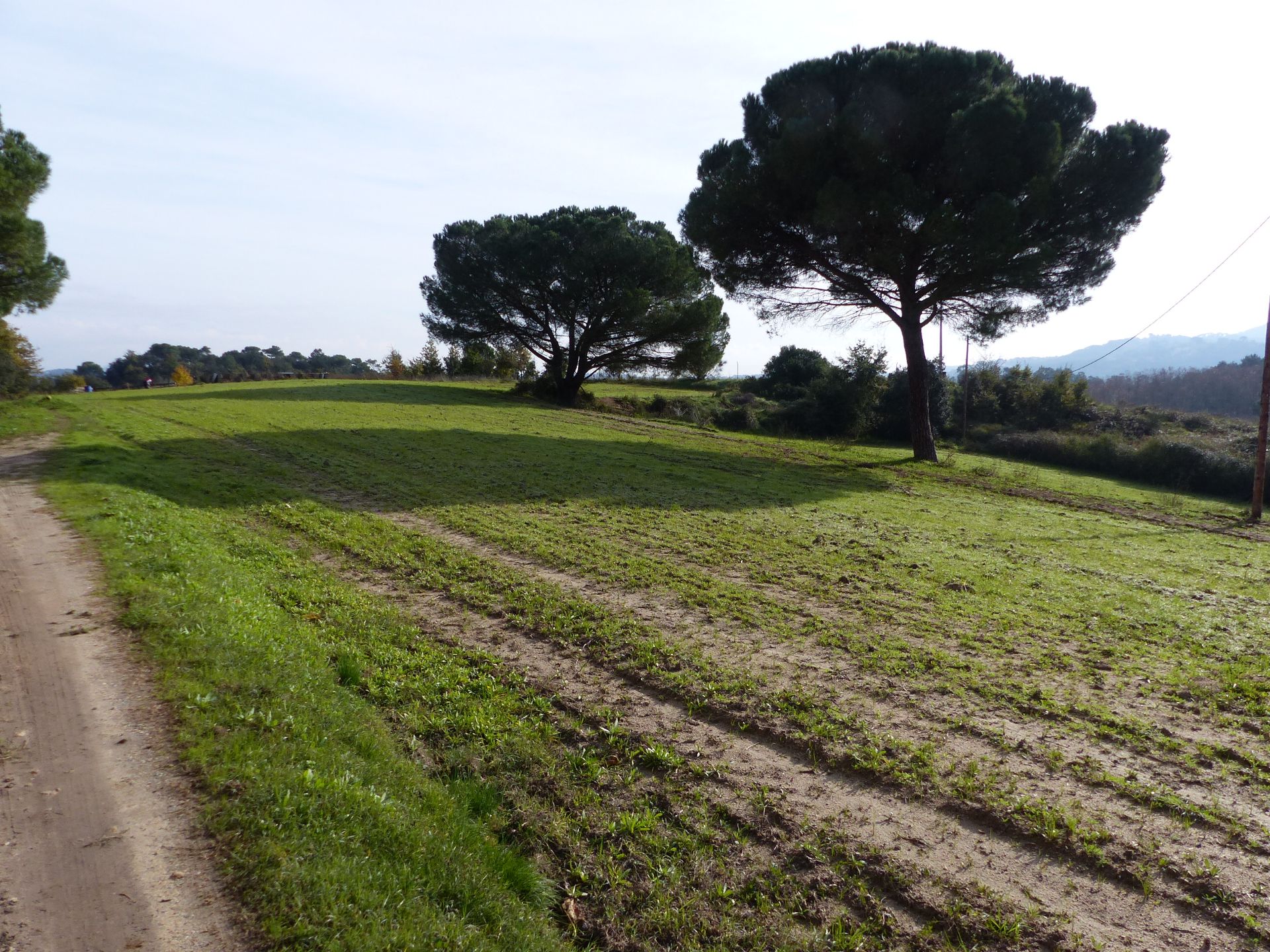 Finca rústica en Massanes, venta