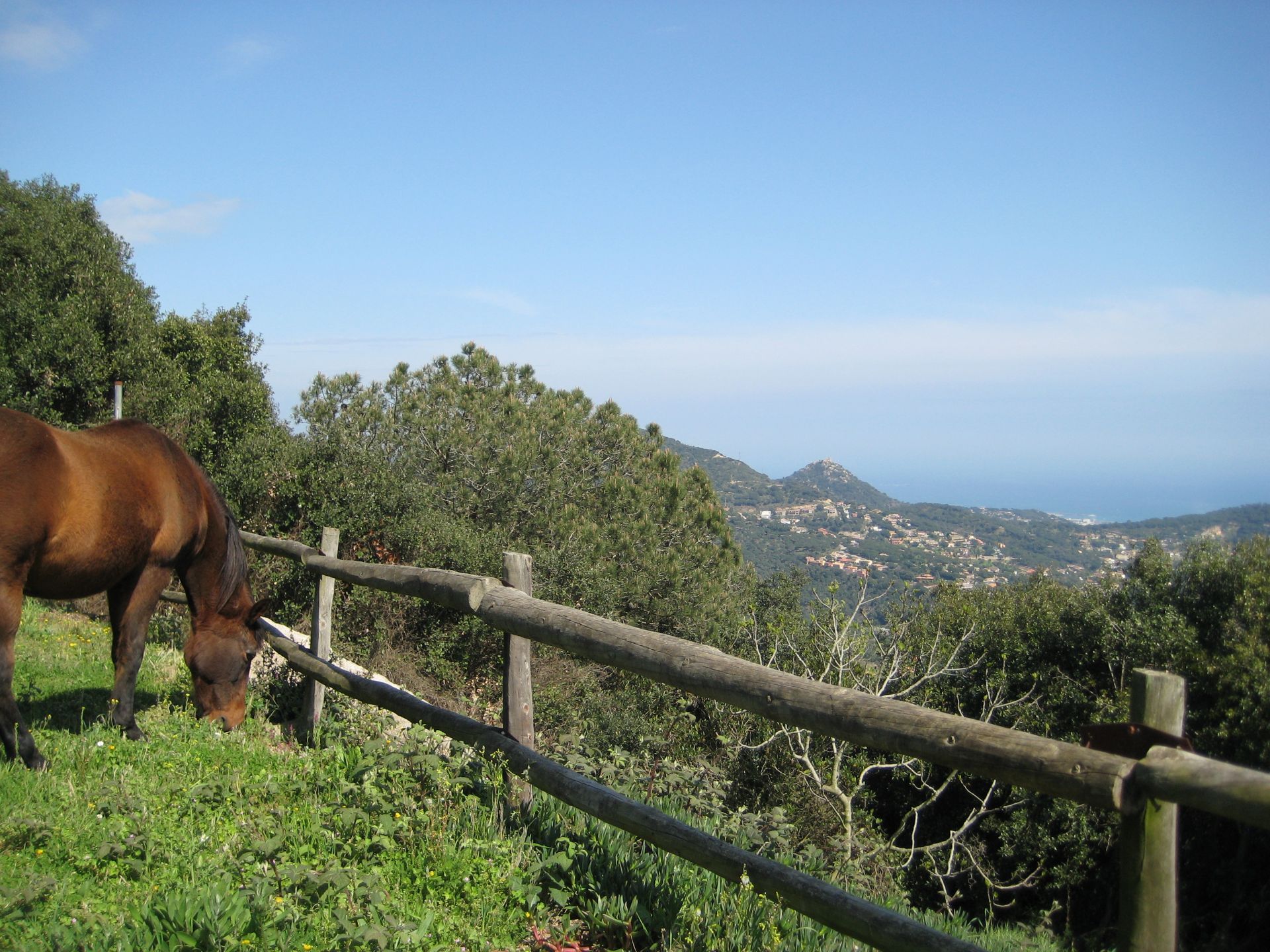 Finca rústica en Cabrils, venta