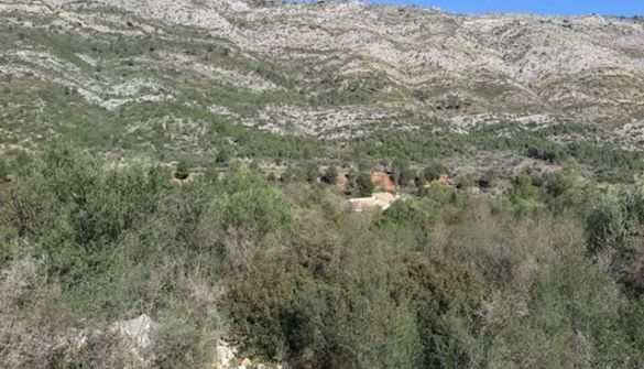 Plot of Land For Sale in Benigembla-MPA17003