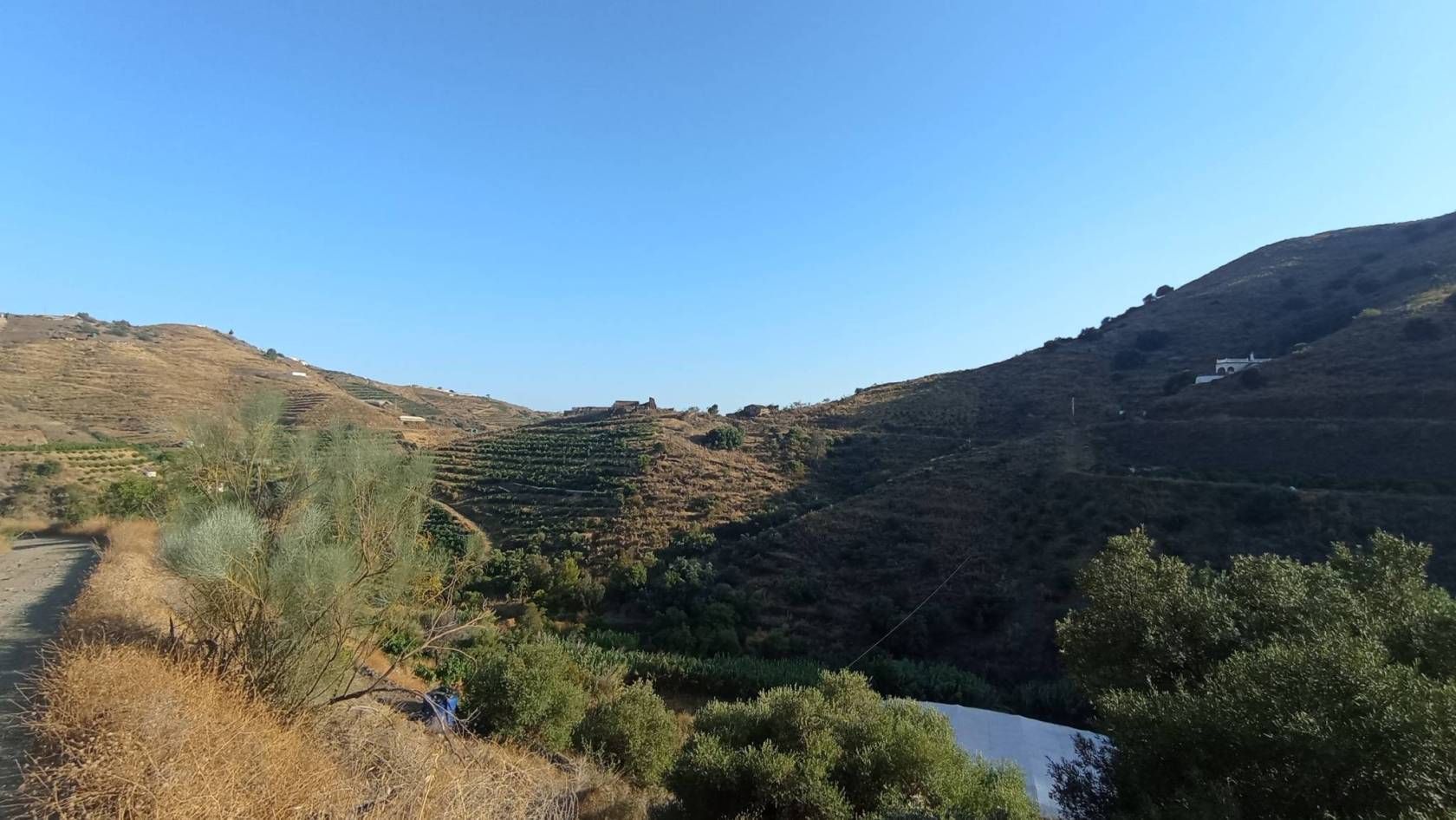 Finca rústica en Torrox Costa, RIO GUI, venta