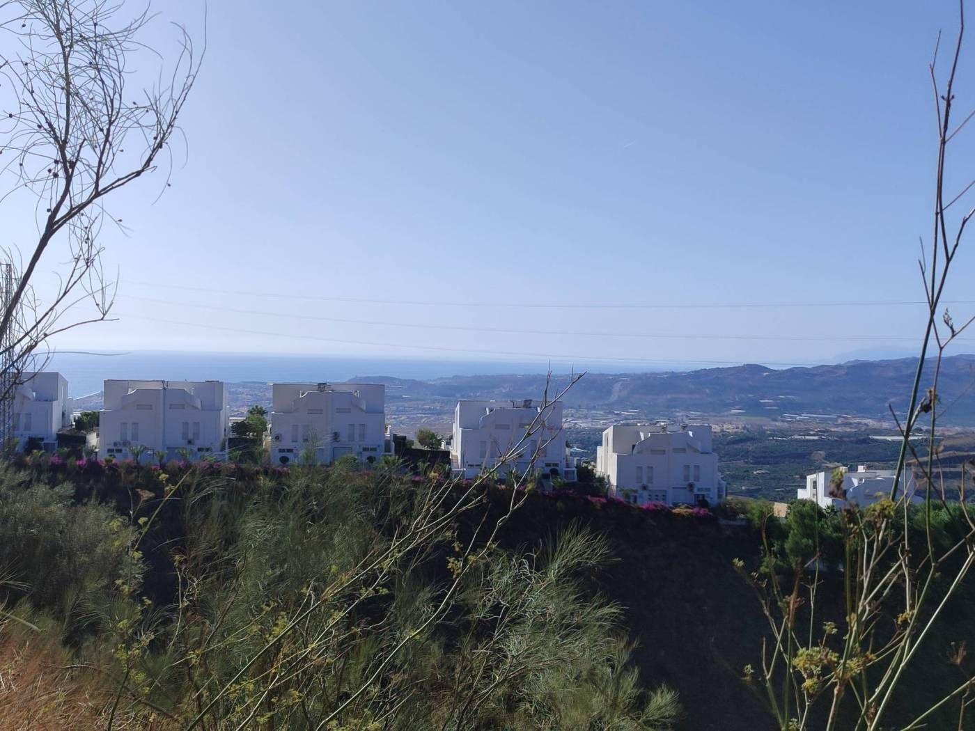 Finca rústica en Algarrobo, venta