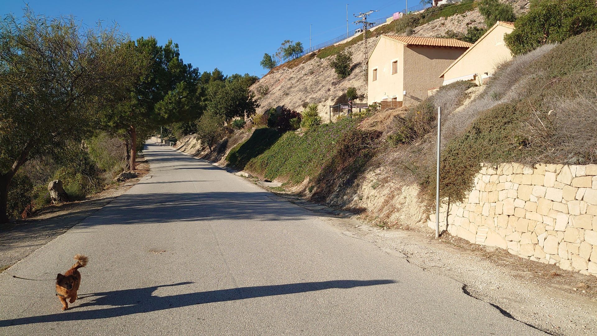 Grundstück in Relleu, verkauf