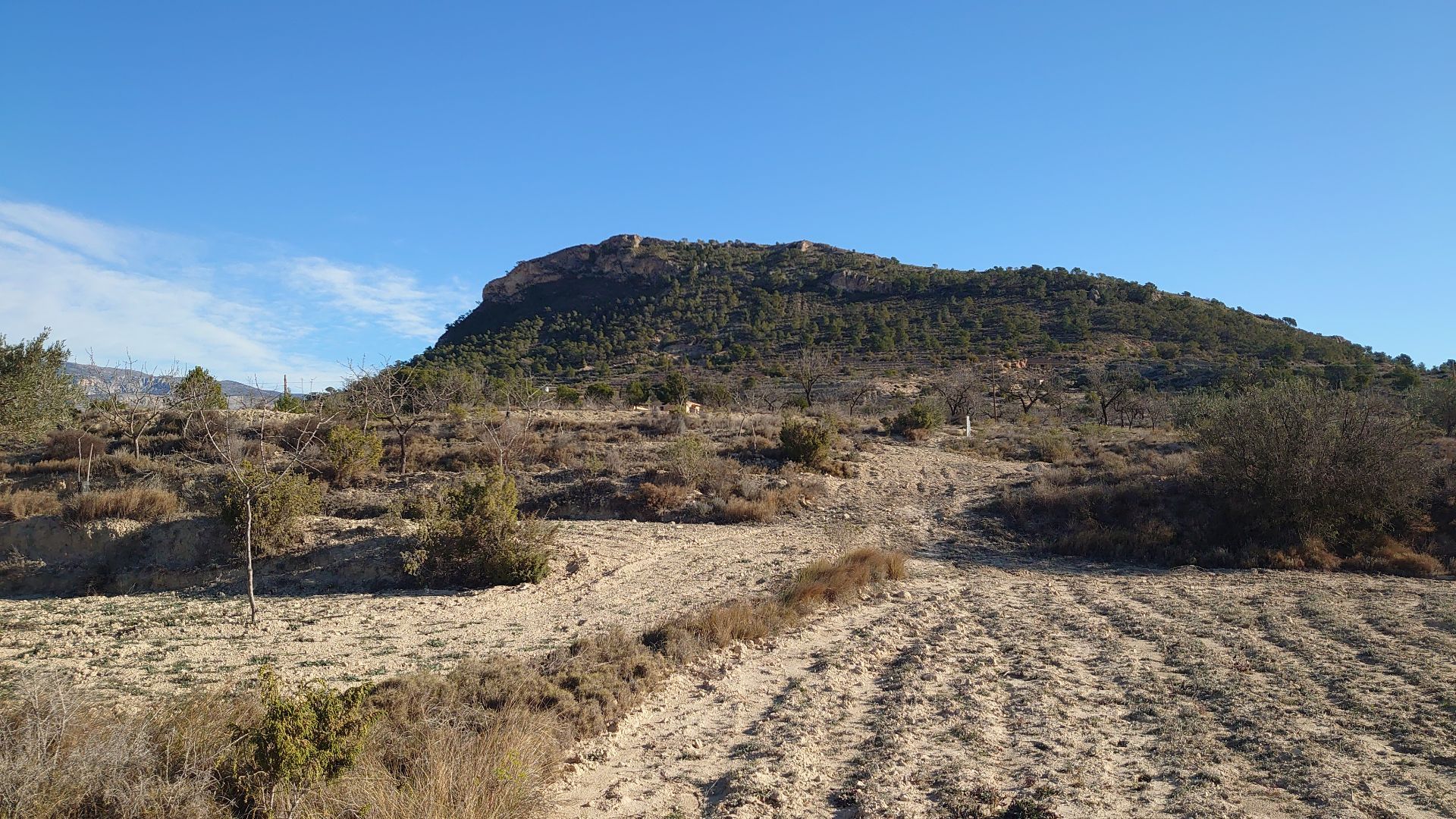 Grundstück in Relleu, verkauf