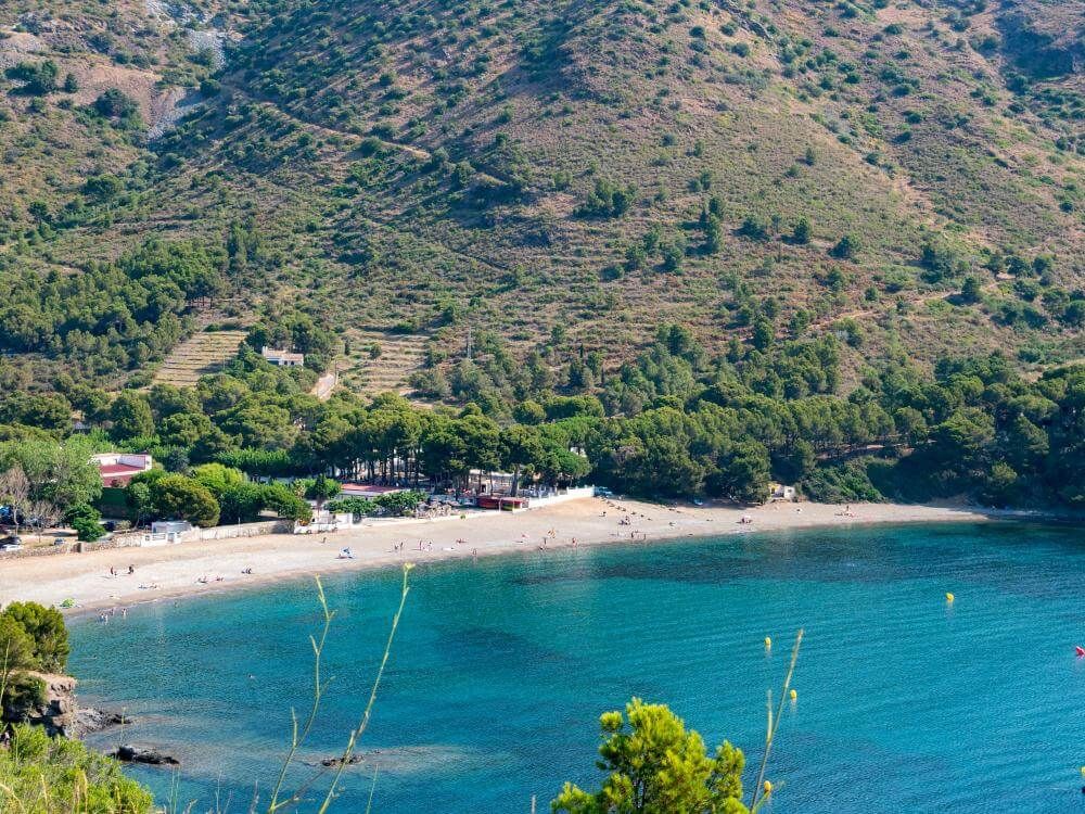 🔥 Les 7 Meilleures Plages de Roses à Visiter