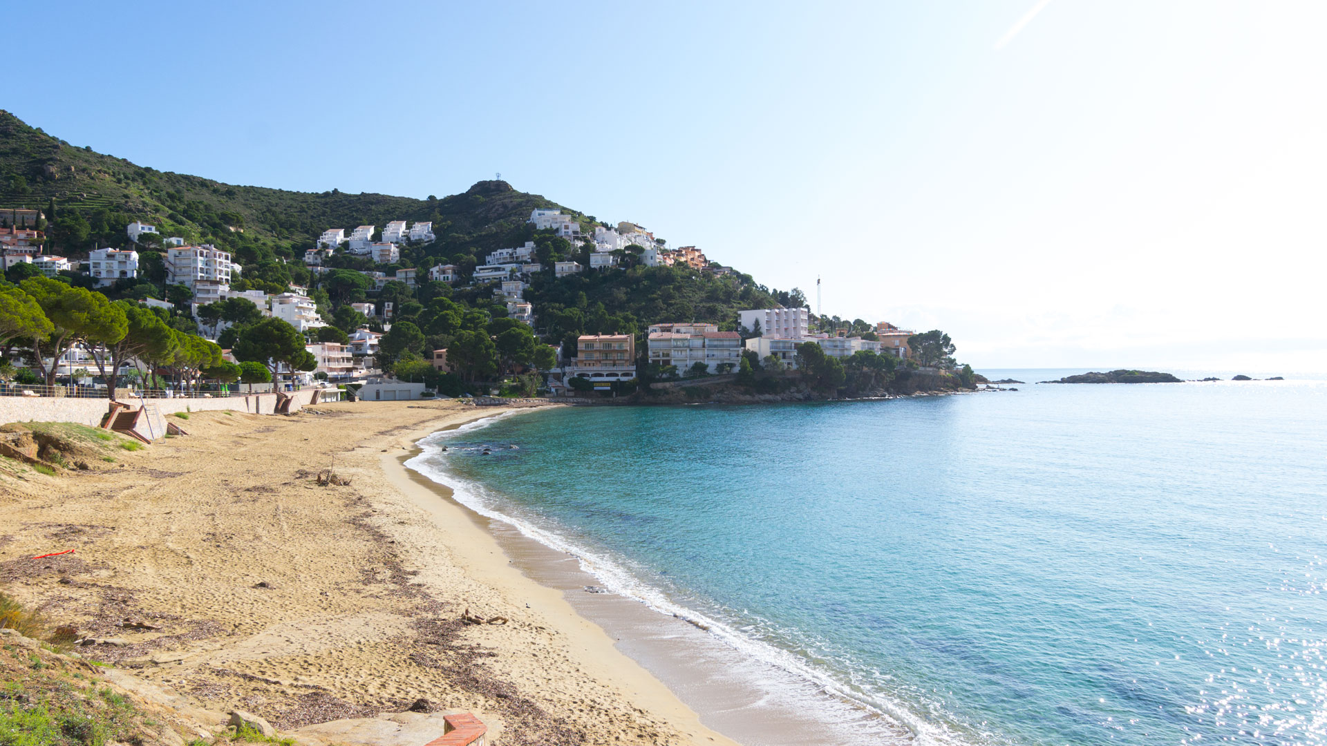 Les 7 Meilleures Plages de Roses à Visiter