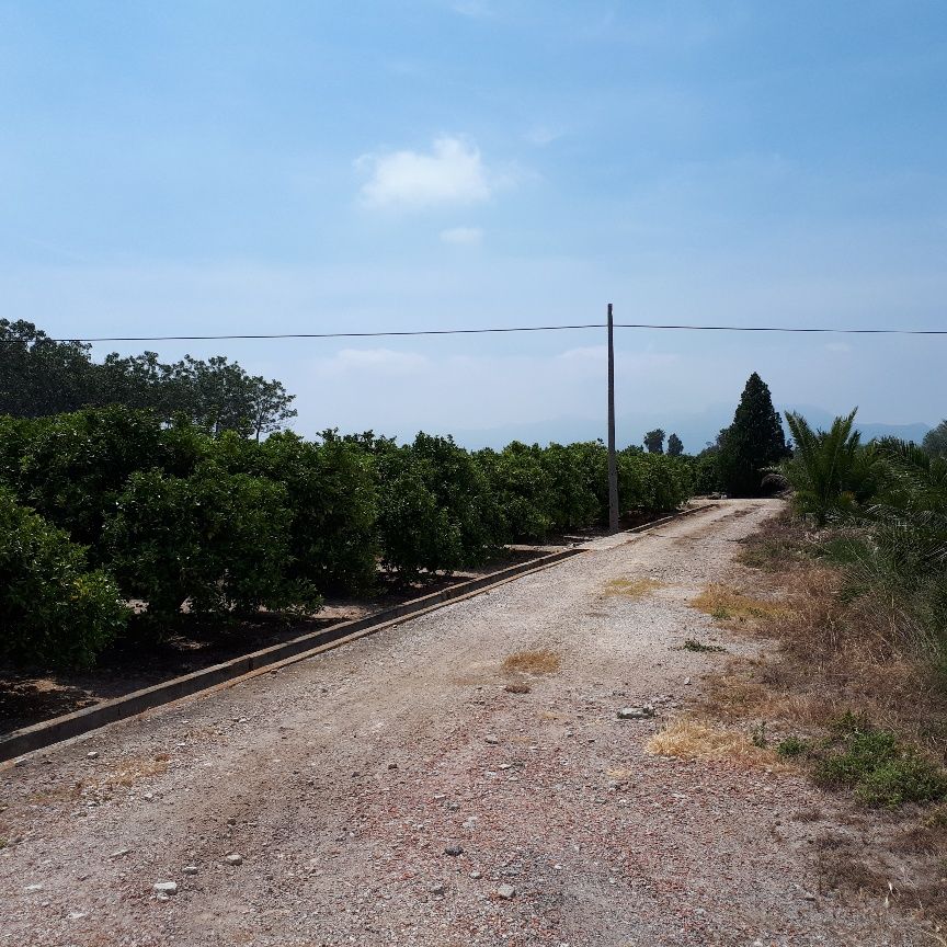 Finca rústica en Sueca, venta