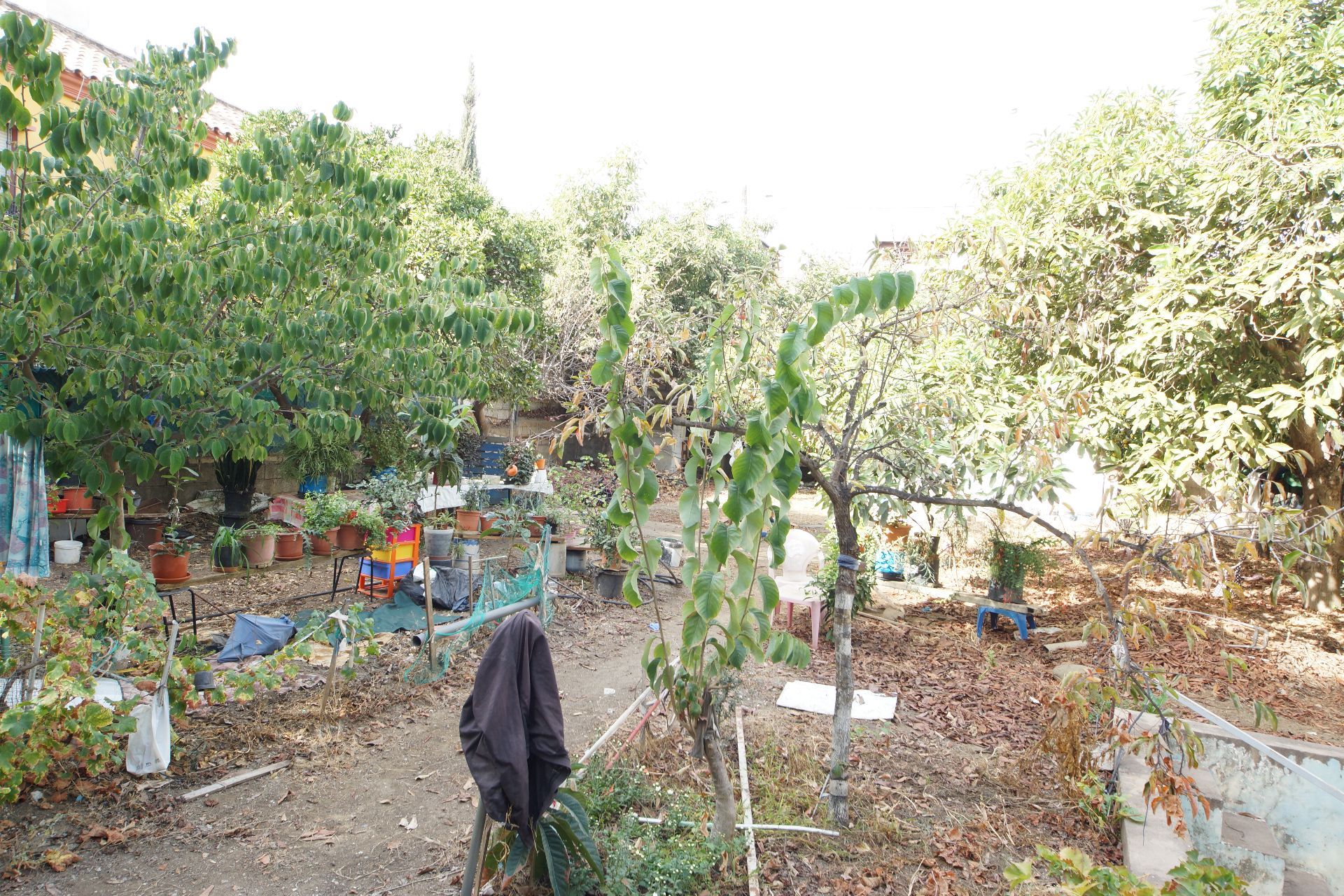 Urban Plot in San Pedro de Alcántara, NORTE DE SAN PEDRO, for sale